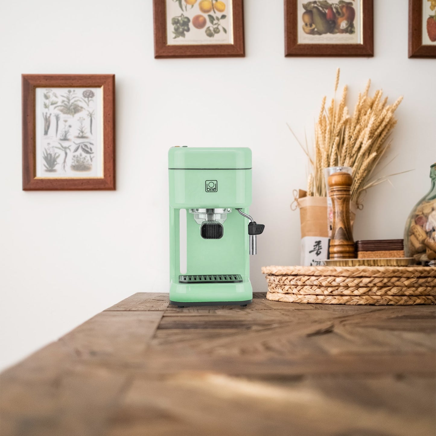 Cafetera Espresso Briel B14S Verde